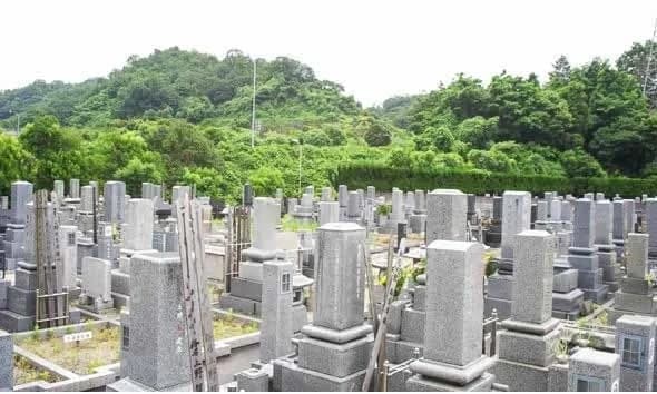 宝善院桜霊園