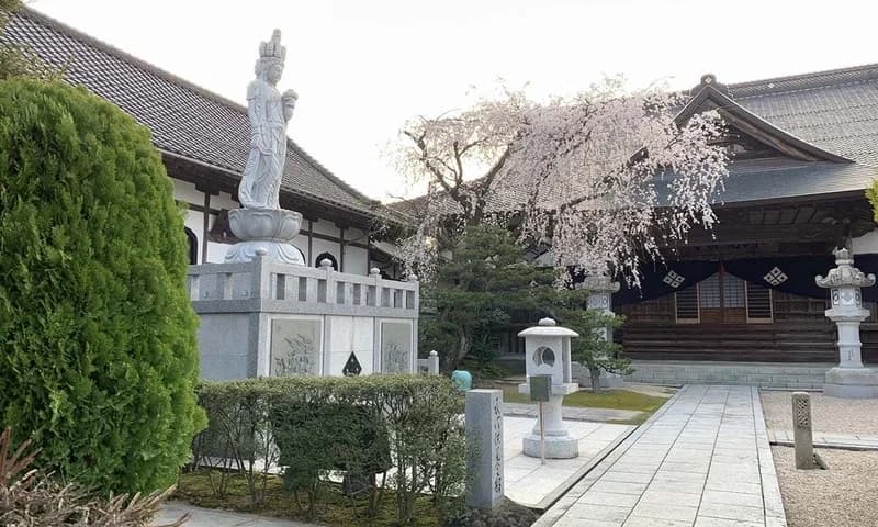 メモリアルガーデン洞光寺（樹木葬・永代供養墓）