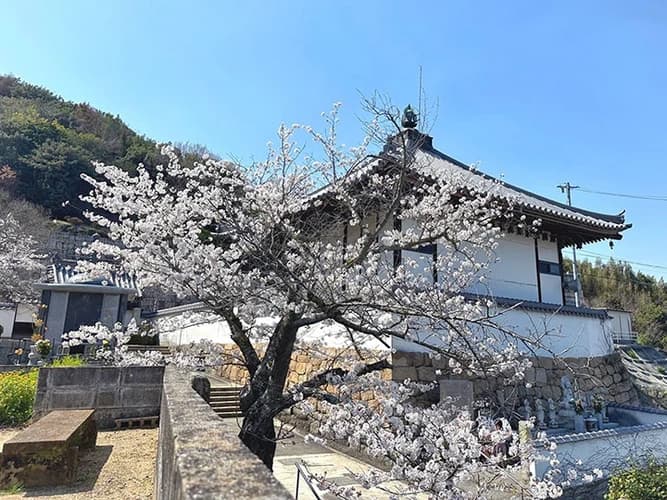 松林寺 のうこつぼ