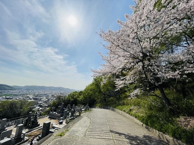 足高山墓地