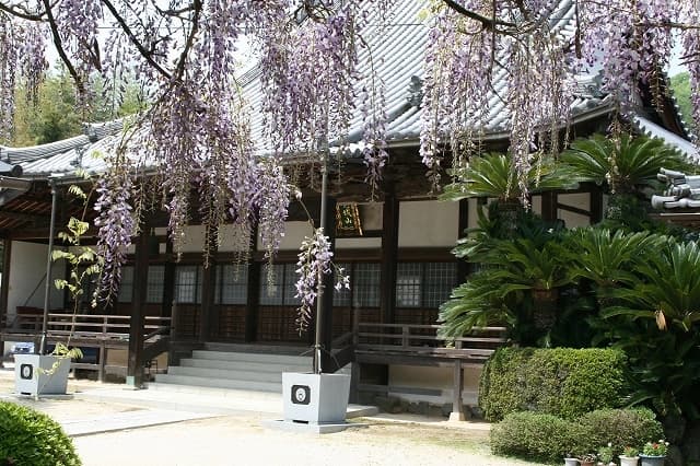妙専寺墓地