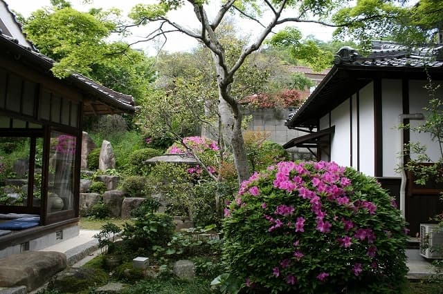 妙専寺墓地