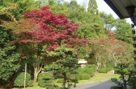 浄光台霊園  蓮華堂