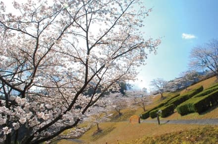 浄光台霊園  蓮華堂
