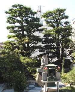 金龍禅寺境内墓地  寿蔵