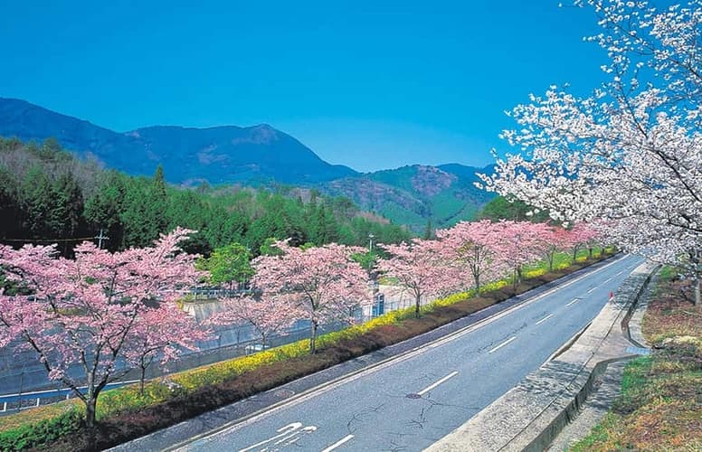 中国平和記念墓地公園
