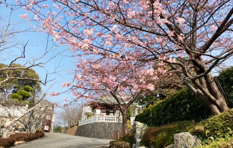 「愛樹木葬」下関豊北樹木葬墓地