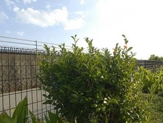 空港霊園