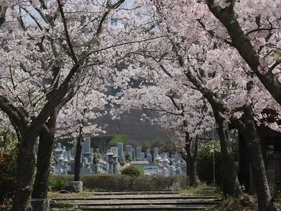 道後聖墓苑北霊域
