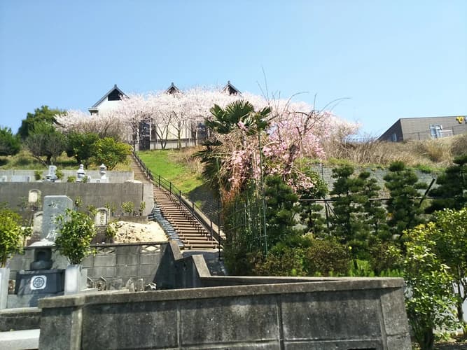 四国中央市営 五社山墓地