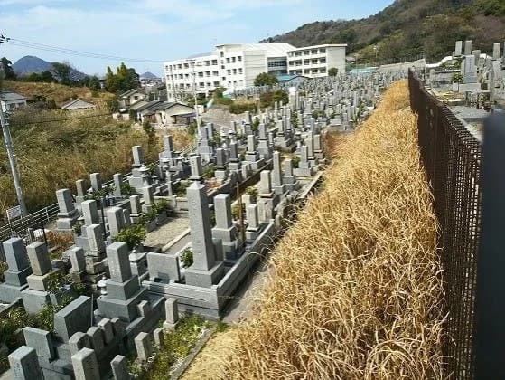 松山市営 大入谷墓地