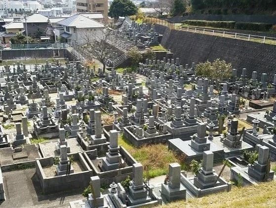 松山市営 客谷墓地